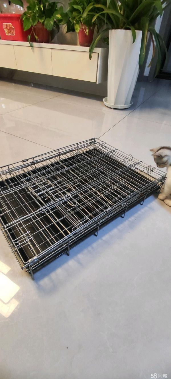 合肥市瑶海区竹佐罗餐饮店·便宜出售狗笼