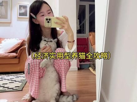 3年养猫人经济适用型养猫全攻略一个月200块就可以养成结实不生病12斤胖嘟嘟猫咪!养猫主打只买对的不买贵的,请抄我的养猫攻略 #猫咪 #养猫攻略 #我的日常vlog #记录真实生活 #纯福猫粮