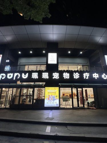 上海这家宠物真的Next Level