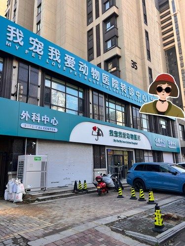 一家非常独特的宠物医院｜性价比超高
