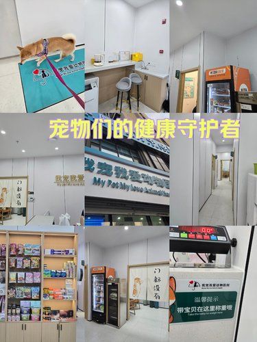 医术超赞 医心更美~