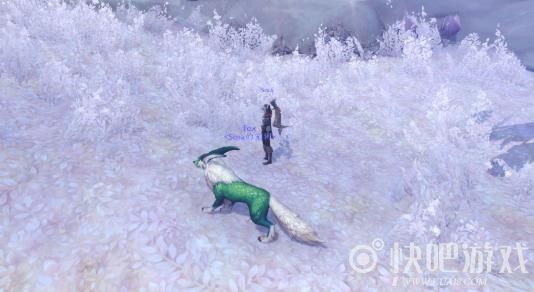 魔兽9.0猎人宠物大全