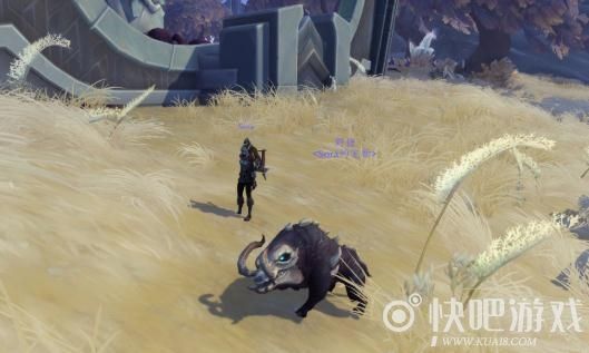 魔兽9.0猎人宠物大全