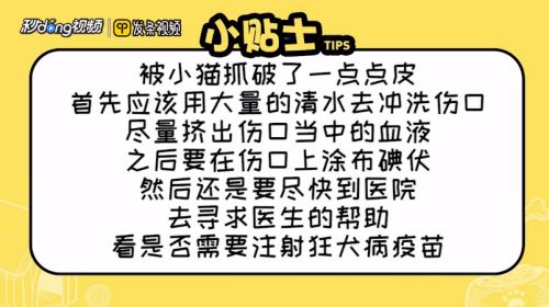 被小猫抓破了一点点皮怎么办