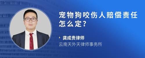 宠物狗咬伤人赔偿责任怎么定？