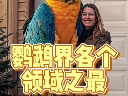 鹦鹉界的各个领域之最，不允许你们不知道#鹦鹉鹦鹉萌萌哒逗鹦鹉 #鹦鹉小白 #手养鹦鹉 #萌宠出道计划