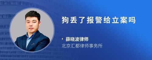 狗丢了报警给立案吗