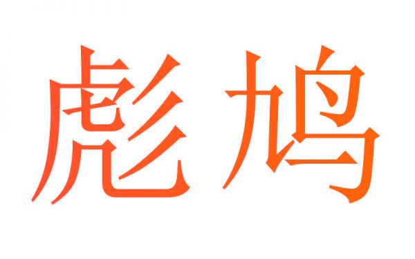 彪鸠