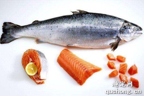 狗狗美毛的食物有什么，什么食物能够给狗狗美毛?