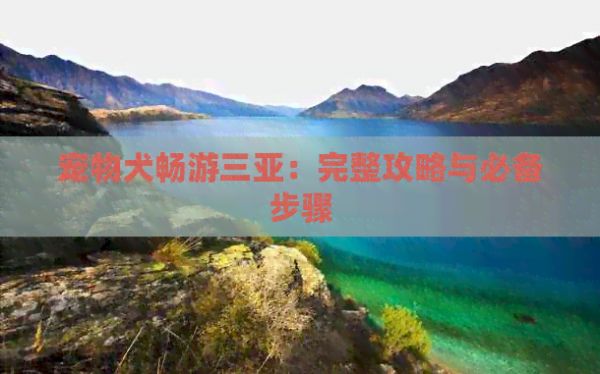 宠物犬畅游三亚：完整攻略与必备步骤