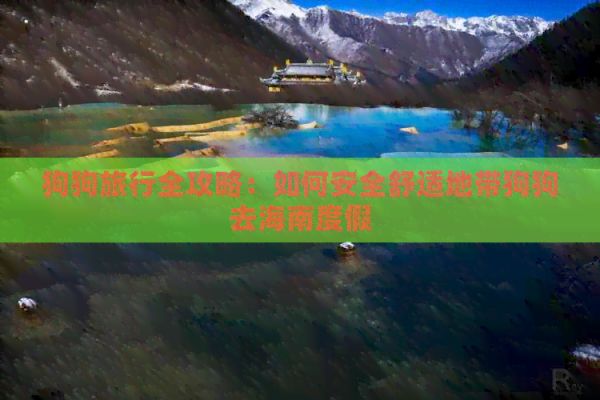 狗狗旅行全攻略：如何安全舒适地带狗狗去海南度假