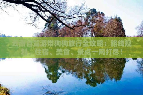 云南自驾游带狗狗旅行全攻略：路线规划、住宿、美食、景点一网打尽！
