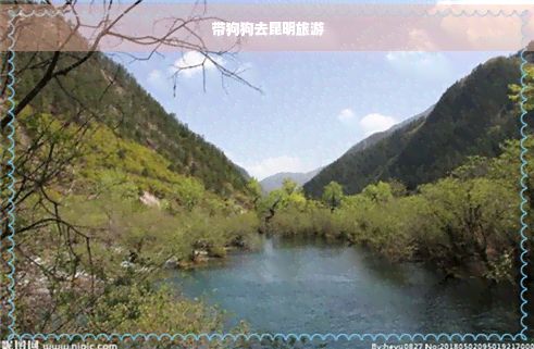 带狗狗去昆明旅游