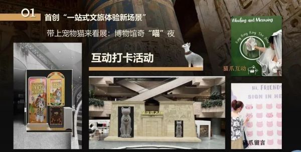 博物馆奇“喵”夜7月19日启售，参加的猫咪有何条件？如何观展？可以带狗吗？