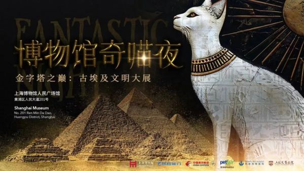 博物馆奇“喵”夜7月19日启售，参加的猫咪有何条件？如何观展？可以带狗吗？