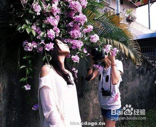 自然写真拍摄技巧