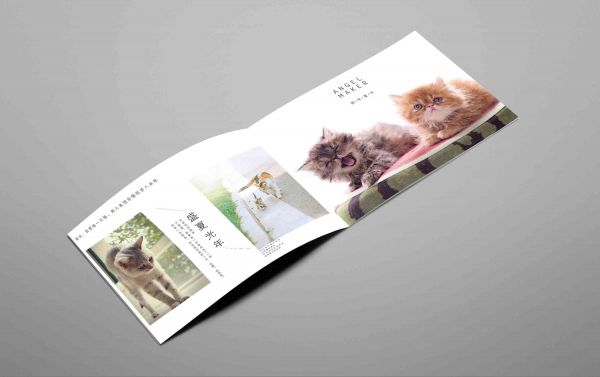 《宠爱瞬间》：宠物画册精选情故事文案集