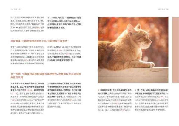 《宠爱瞬间》：宠物画册精选情故事文案集
