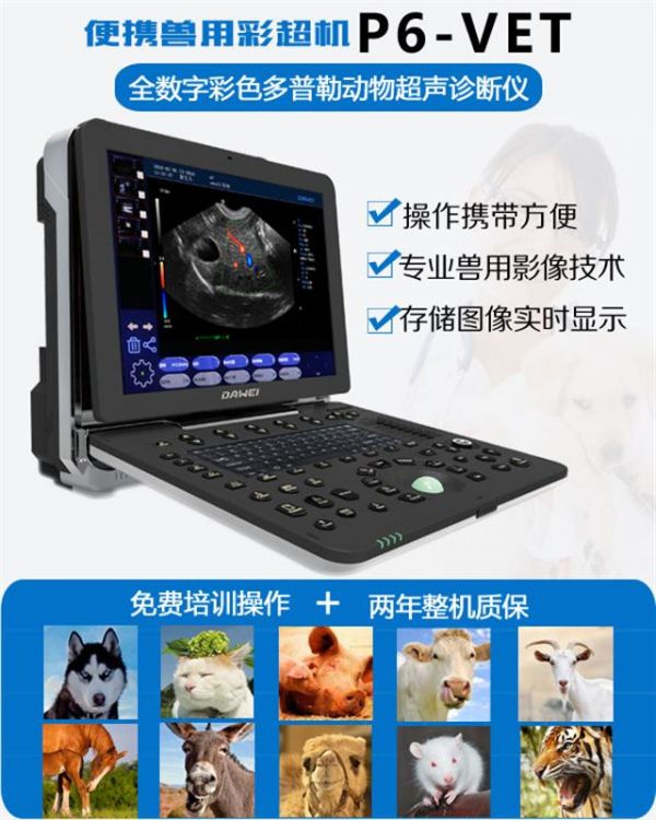 动物用携带式彩超仪