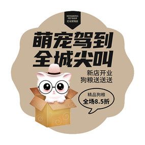 大气高端宠物店开业活动地贴广告设计