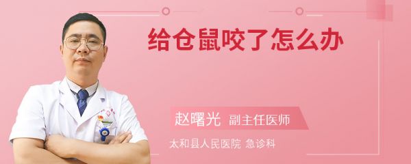 给仓鼠咬了怎么办