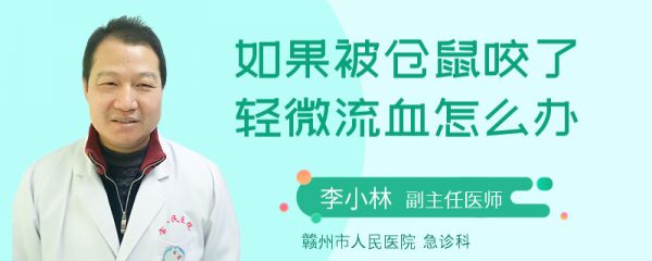 如果被仓鼠咬了轻微流血怎么办