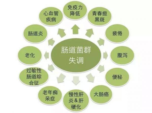 想要建立宝宝健康的肠道菌群？一定要抓住这三次宝贵的机会
