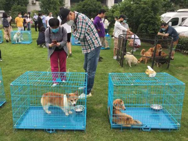 微信图片_20210528095601.jpg