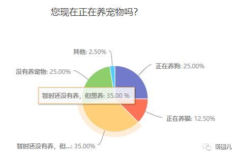 济南伴侣动物领养日活动成功举办，狗狗们找到新家啦