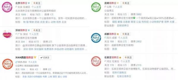 4月13日|孙俪娘娘领跑全国51城宠物领养日活动