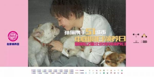 4月13日|孙俪娘娘领跑全国51城宠物领养日活动
