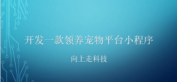 开发一款领养宠物平台小程序