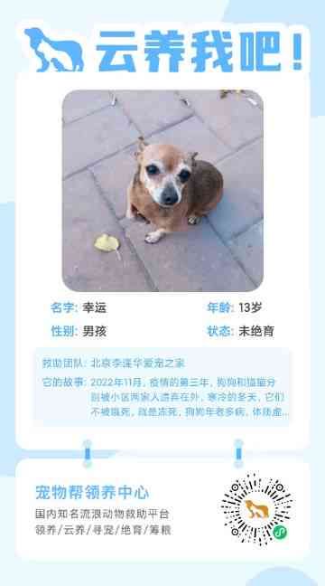 送养领养qq群：2020年爱心宝送养领养之家群