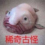 稀奇古怪