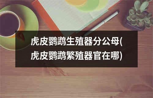 虎皮鹦鹉生殖器分公母(虎皮鹦鹉繁殖器官在哪)