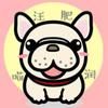 汪肥喵润Chubbypet