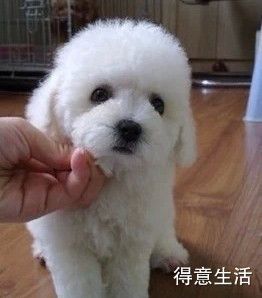 2 - 副本.jpg