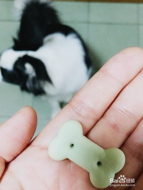 如何训练狗狗坐和卧