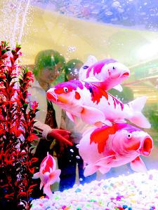 宠物水族用品展(图)