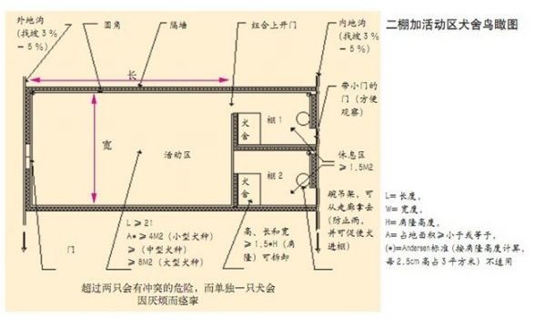 狗场犬舍设计图大棚里的