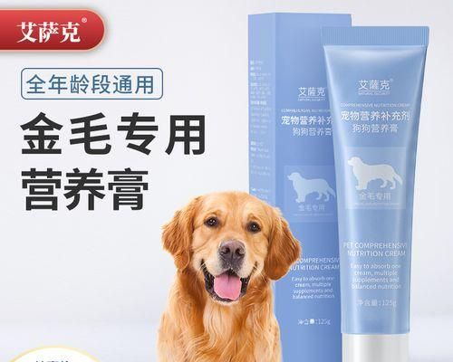 如何科学地给宠物狗增肥（用正确的方法让你的爱犬健康增重）