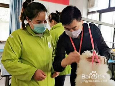 开一家宠物店需要什么许可证