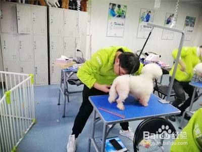 开一家宠物店需要什么许可证