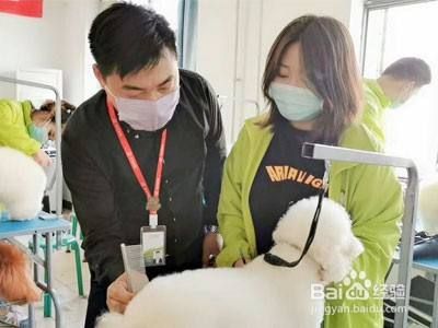 开一家宠物店需要什么许可证