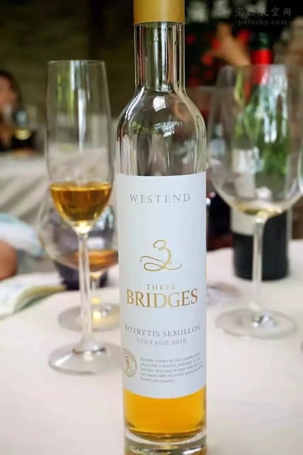 日记：翻看自己参加酒会的照片 感慨时间过得太快