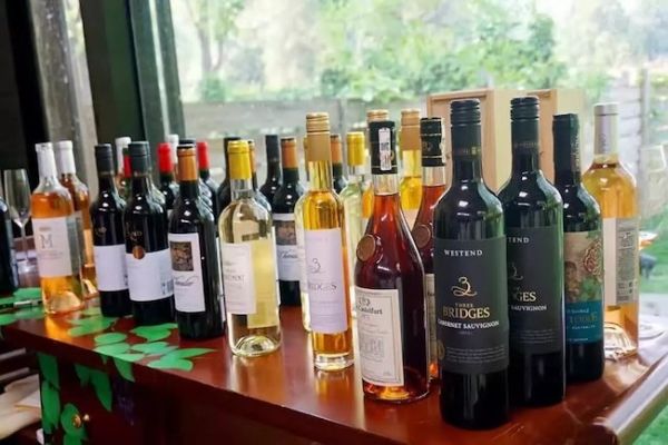日记：翻看自己参加酒会的照片 感慨时间过得太快