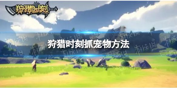 游侠网1