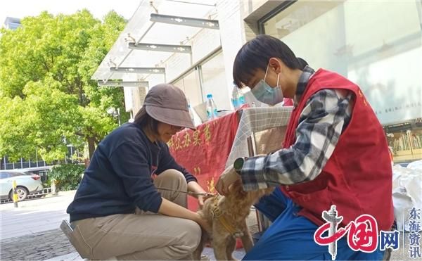 苏州工业园区水墨社区：宠物疫苗进社区 共筑动物“免疫屏障”