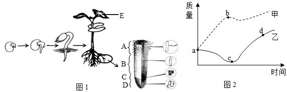 菁优网