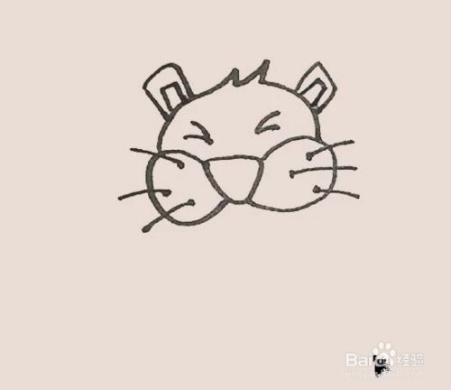 简笔画之狮子